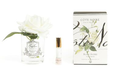 Single Rose - Clear Glass - Ivory White - GMR01 (Carton of 4)